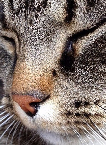       - 6  2016  17:18 - 4