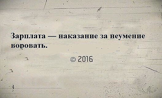  - 29  2016  06:52