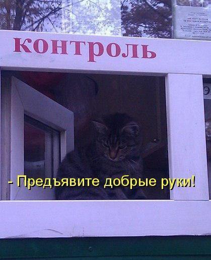    - 10  2016  23:20