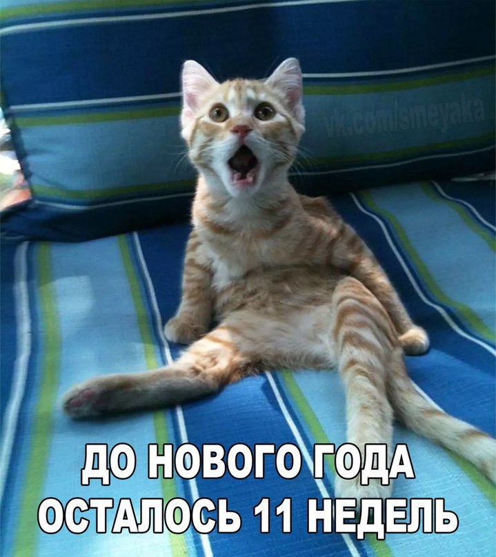 ***Victoria Viktorovna*** - 20  2016  14:20