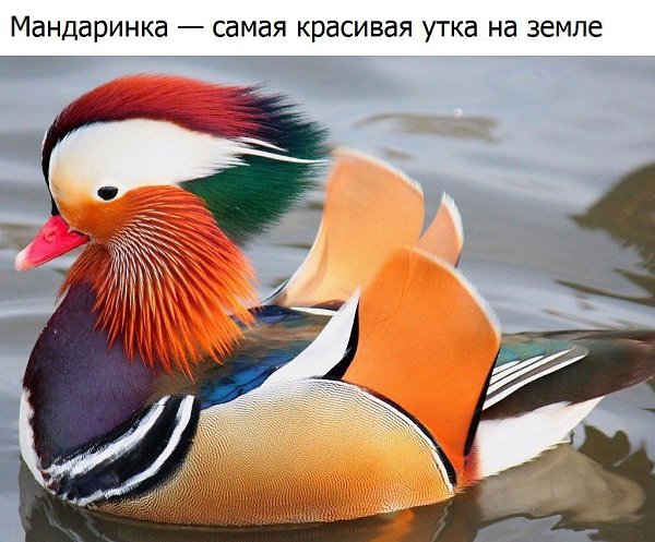  - 5  2016  18:05