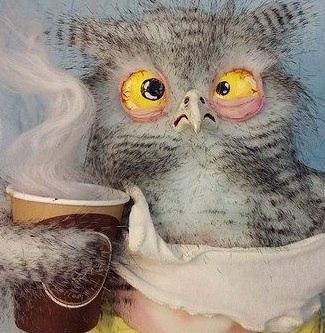   - 4  2017  17:18