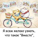 ���� ��@, �������, 54 ���� - ��������� 5 ������ 2017 � ������ ������ ��������