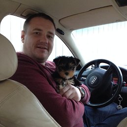 ���������, ������, 43 ����