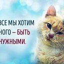 ���� ����, ������ - ��������� 6 ������ 2017 � ������ ��������