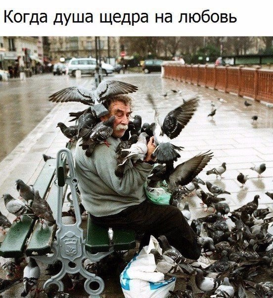  -  ) - 23  2017  12:52