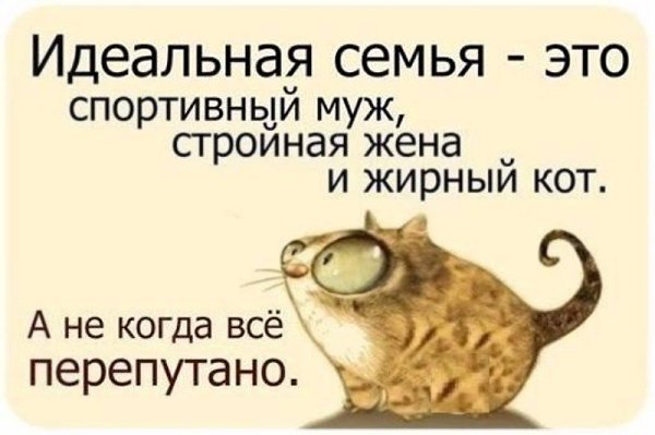  !!!...  ...... - 25  2016  14:38