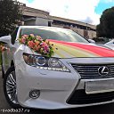    Lexus ES 250   .   .  +7 (903) 889-01-00     .    .