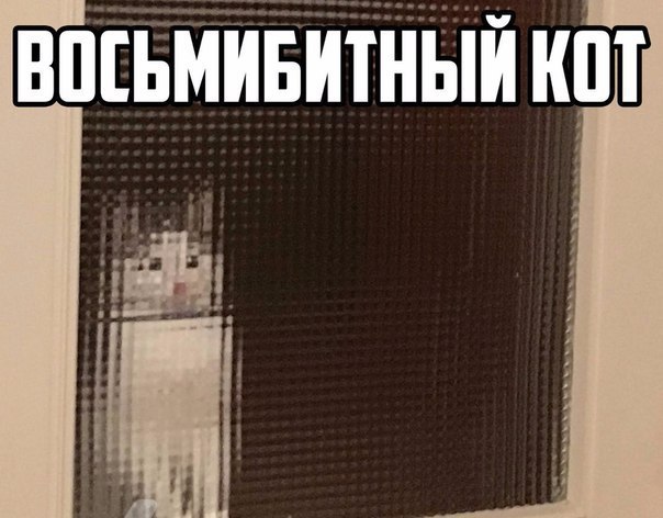    - 10  2017  11:24