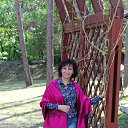 ���� ����, ��������� - ��������� 13 ������� 2016 � ������ ���� ����������