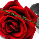 ���� ����, �������, 34 ���� - ��������� 23 �������� 2016 � ������ ���� ����������