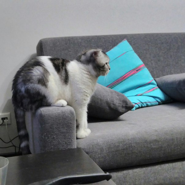 ����� ���� ���� �������� ����� ��������, � ������ ��������