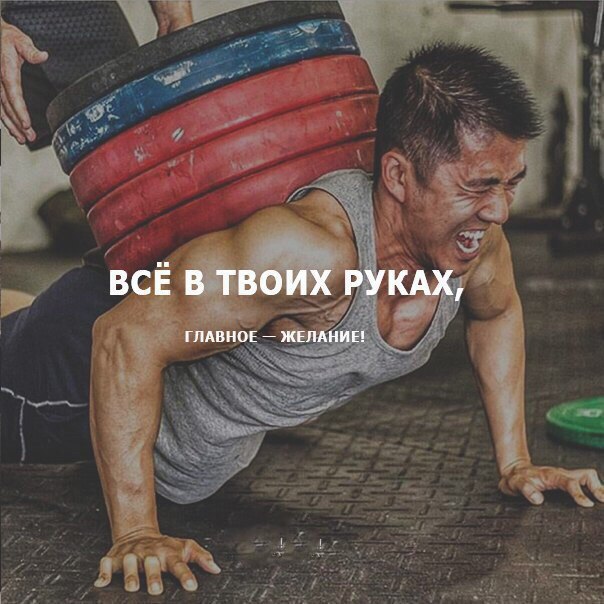  -   - 13  2016  22:30