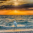 ���� Luda, ��������� - ��������� 2 ������ 2016 � ������ ������ ��������