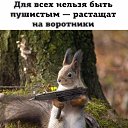 ���� ������, ������, 65 ��� - ��������� 20 ����� 2017 � ������ ���� ����������