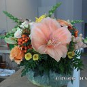 ���� �����, ���������, 64 ���� - ��������� 27 �������� 2016 � ������ ������ ��������