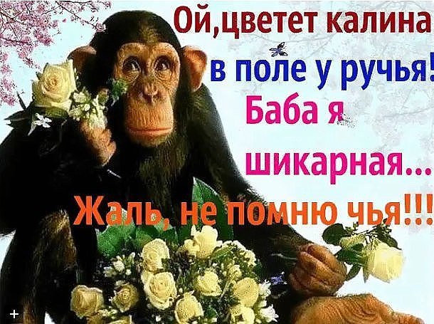  - 9  2016  10:08