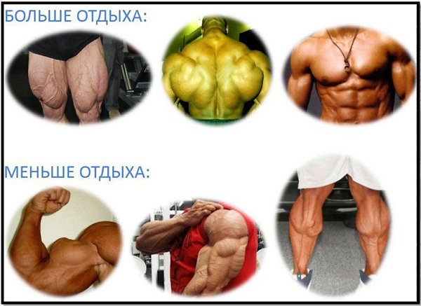 Можно ли качаться каждый день? Вся правда. Можно ли качаться каждый день? Недвусмысленный ответ. ... - 2
