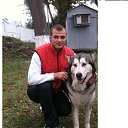 ���� �����, �����-���������, 37 ��� - ��������� 16 ����� 2017 � ������ ���� ����������