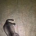 ���� �����, ������, 52 ���� - ��������� 30 ������� 2016 � ������ ���� ����������