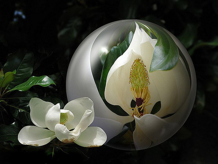 ))). Monuela Moya "Expecty" Monuela Moya "Expecty" ... - 2