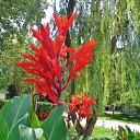  , , 60  -  25  2016    &quot; &quot; 2016