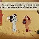 ���� �����, ���������, 40 ��� - ��������� 12 ������ 2016 � ������ ������ ��������