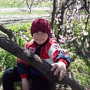  Aleksandr,  -  2  2017    29 - 31. 2017 .