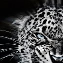 ���� �������, �������� - ��������� 30 ����� 2017