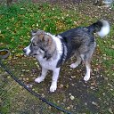 ���� Alexander, �����-���������, 58 ��� - ��������� 26 ������� 2016 � ������ ���� ����������