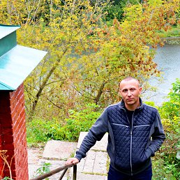 ���� �����, �����, 39 ��� - ��������� 7 ������� 2016