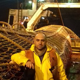 ������, ��������, 50 ���