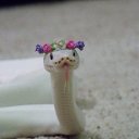 ���� ������, ������� - ��������� 20 ������ 2016 � ������ ���� ����������