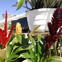  ,  -  20  2016        ͻ