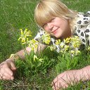 ���� �������, ������ - ��������� 14 ������� 2016 � ������ ���� ����������