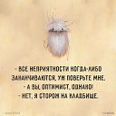 ���� ������, ������� - ��������� 24 ������ 2017 � ������ ������ ��������