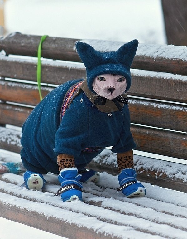    ,   ...)))