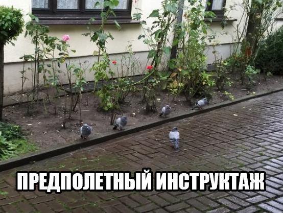  - 19  2016  17:39