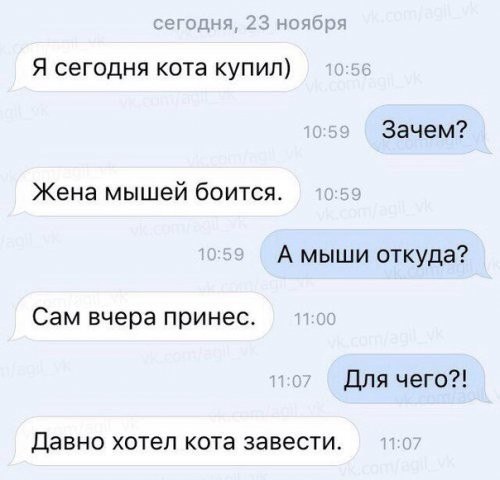 ☆ ☆ - 21  2016  16:12