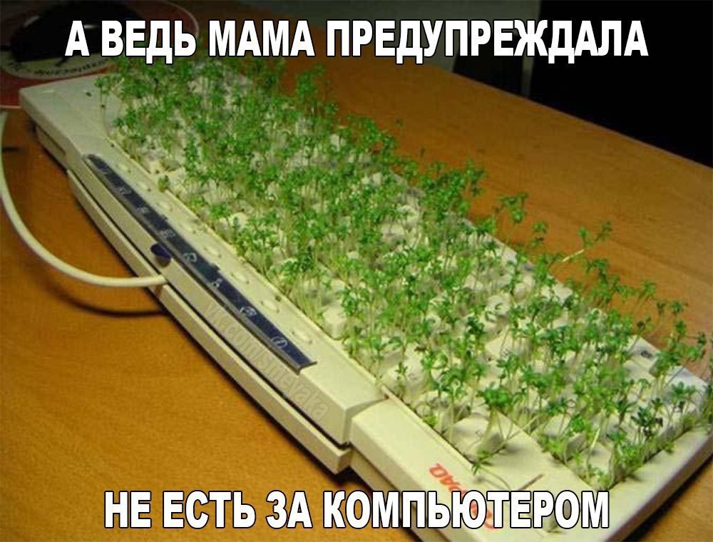    :D - 19  2016  00:08