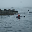 ���� ������, �����������, 50 ��� - ��������� 23 ������ 2017