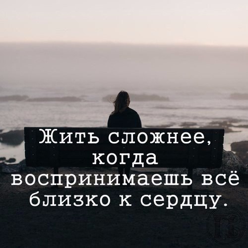  | ,  - 2  2017  21:24