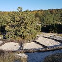 ���� Nelli, ������ - ��������� 23 ������� 2016 � ������ ������ ��������