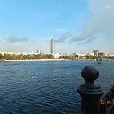 ���� �����, ���� - ��������� 3 ������� 2016 � ������ �������������