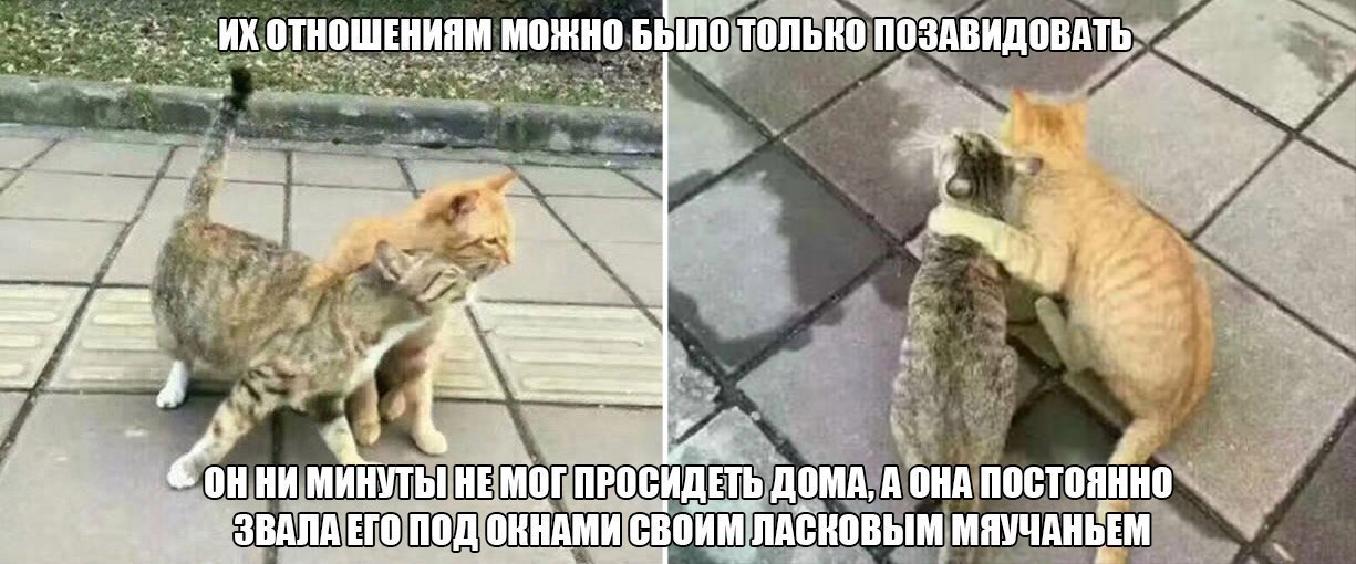       - 2