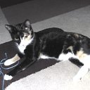 ���� ���, ����, 51 ��� - ��������� 16 ������ 2016 � ������ ���� ����������