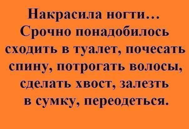  !!!...  ...... - 10  2016  22:09