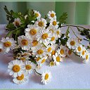 ���� �����, �������� - ��������� 14 ������� 2017 � ������ ������ ��������