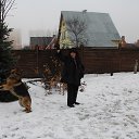  .,  -  10  2017    