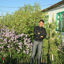 ���� ��������, ��������, 51 ��� - ��������� 3 ����� 2017 � ������ ���� ����������